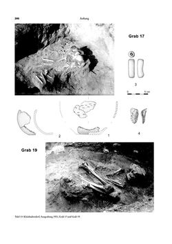 Image of the Page - 246 - in Das linearbandkeramische Gräberfeld von Kleinhadersdorf