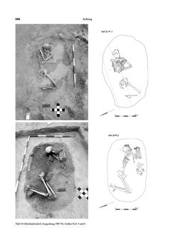 Image of the Page - 248 - in Das linearbandkeramische Gräberfeld von Kleinhadersdorf