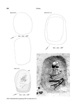Image of the Page - 250 - in Das linearbandkeramische Gräberfeld von Kleinhadersdorf