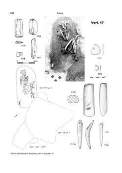 Image of the Page - 252 - in Das linearbandkeramische Gräberfeld von Kleinhadersdorf