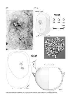 Image of the Page - 256 - in Das linearbandkeramische Gräberfeld von Kleinhadersdorf