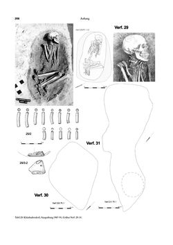 Image of the Page - 258 - in Das linearbandkeramische Gräberfeld von Kleinhadersdorf