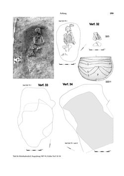 Image of the Page - 259 - in Das linearbandkeramische Gräberfeld von Kleinhadersdorf