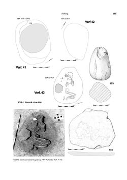 Image of the Page - 263 - in Das linearbandkeramische Gräberfeld von Kleinhadersdorf