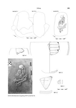 Image of the Page - 269 - in Das linearbandkeramische Gräberfeld von Kleinhadersdorf