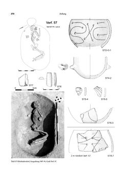 Image of the Page - 270 - in Das linearbandkeramische Gräberfeld von Kleinhadersdorf