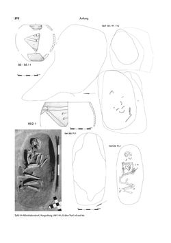 Image of the Page - 272 - in Das linearbandkeramische Gräberfeld von Kleinhadersdorf