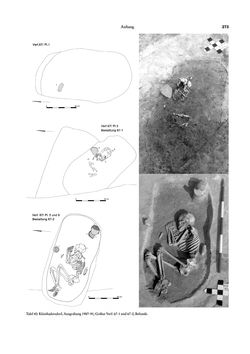 Image of the Page - 273 - in Das linearbandkeramische Gräberfeld von Kleinhadersdorf