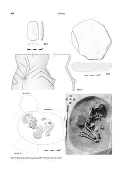 Image of the Page - 276 - in Das linearbandkeramische Gräberfeld von Kleinhadersdorf