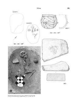 Image of the Page - 281 - in Das linearbandkeramische Gräberfeld von Kleinhadersdorf