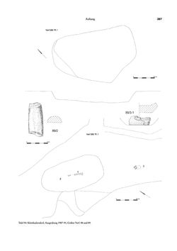 Image of the Page - 287 - in Das linearbandkeramische Gräberfeld von Kleinhadersdorf