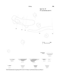 Image of the Page - 291 - in Das linearbandkeramische Gräberfeld von Kleinhadersdorf