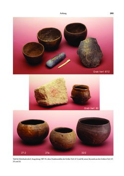 Bild der Seite - 293 - in Das linearbandkeramische Gräberfeld von Kleinhadersdorf