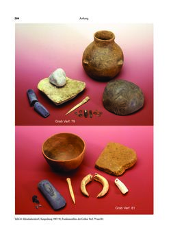 Bild der Seite - 294 - in Das linearbandkeramische Gräberfeld von Kleinhadersdorf