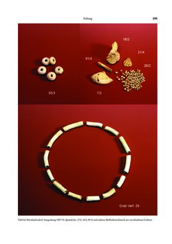 Bild der Seite - 295 - in Das linearbandkeramische Gräberfeld von Kleinhadersdorf