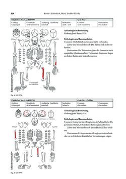 Image of the Page - 306 - in Das linearbandkeramische Gräberfeld von Kleinhadersdorf