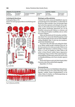 Image of the Page - 308 - in Das linearbandkeramische Gräberfeld von Kleinhadersdorf