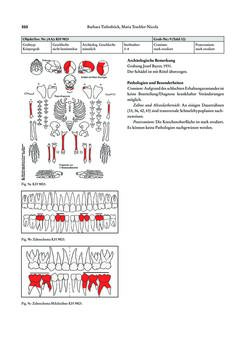 Image of the Page - 310 - in Das linearbandkeramische Gräberfeld von Kleinhadersdorf