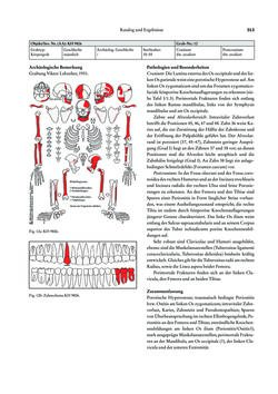 Image of the Page - 313 - in Das linearbandkeramische Gräberfeld von Kleinhadersdorf