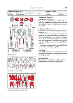 Image of the Page - 317 - in Das linearbandkeramische Gräberfeld von Kleinhadersdorf