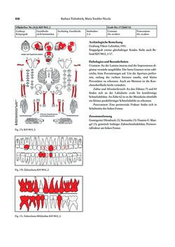 Image of the Page - 318 - in Das linearbandkeramische Gräberfeld von Kleinhadersdorf