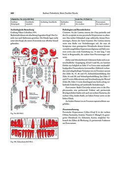 Image of the Page - 320 - in Das linearbandkeramische Gräberfeld von Kleinhadersdorf