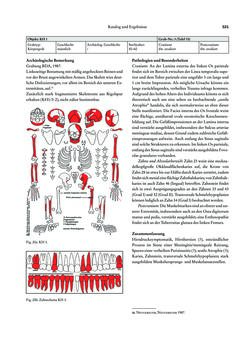 Image of the Page - 321 - in Das linearbandkeramische Gräberfeld von Kleinhadersdorf