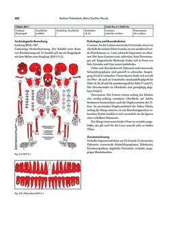 Image of the Page - 322 - in Das linearbandkeramische Gräberfeld von Kleinhadersdorf
