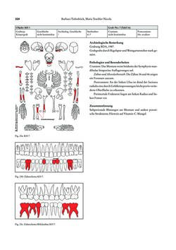 Image of the Page - 324 - in Das linearbandkeramische Gräberfeld von Kleinhadersdorf