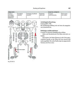 Image of the Page - 327 - in Das linearbandkeramische Gräberfeld von Kleinhadersdorf