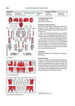 Image of the Page - 328 - in Das linearbandkeramische Gräberfeld von Kleinhadersdorf