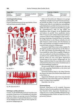 Bild der Seite - 330 - in Das linearbandkeramische Gräberfeld von Kleinhadersdorf