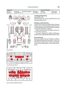 Bild der Seite - 333 - in Das linearbandkeramische Gräberfeld von Kleinhadersdorf