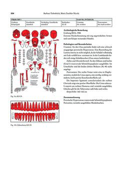 Bild der Seite - 334 - in Das linearbandkeramische Gräberfeld von Kleinhadersdorf