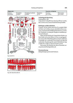 Bild der Seite - 335 - in Das linearbandkeramische Gräberfeld von Kleinhadersdorf