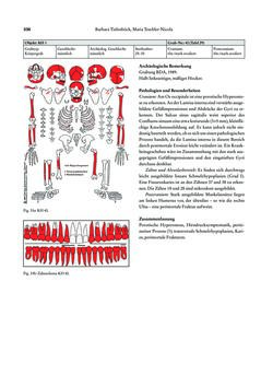 Bild der Seite - 336 - in Das linearbandkeramische Gräberfeld von Kleinhadersdorf