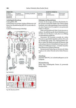 Image of the Page - 338 - in Das linearbandkeramische Gräberfeld von Kleinhadersdorf