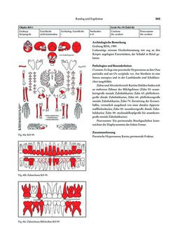 Image of the Page - 343 - in Das linearbandkeramische Gräberfeld von Kleinhadersdorf