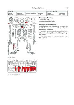 Image of the Page - 345 - in Das linearbandkeramische Gräberfeld von Kleinhadersdorf