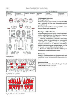 Bild der Seite - 346 - in Das linearbandkeramische Gräberfeld von Kleinhadersdorf