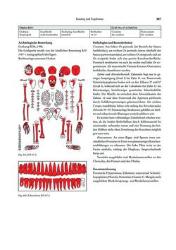 Image of the Page - 347 - in Das linearbandkeramische Gräberfeld von Kleinhadersdorf