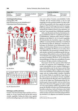 Image of the Page - 348 - in Das linearbandkeramische Gräberfeld von Kleinhadersdorf