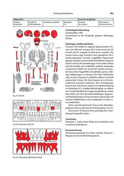 Image of the Page - 351 - in Das linearbandkeramische Gräberfeld von Kleinhadersdorf