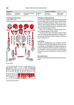 Image of the Page - 352 - in Das linearbandkeramische Gräberfeld von Kleinhadersdorf