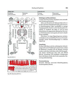 Image of the Page - 353 - in Das linearbandkeramische Gräberfeld von Kleinhadersdorf