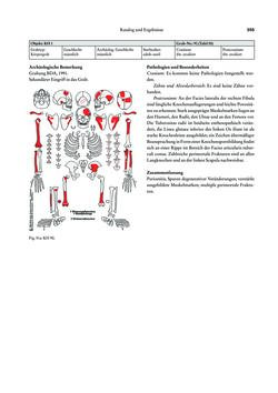 Image of the Page - 355 - in Das linearbandkeramische Gräberfeld von Kleinhadersdorf