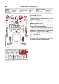 Image of the Page - 356 - in Das linearbandkeramische Gräberfeld von Kleinhadersdorf