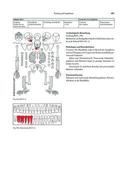 Image of the Page - 357 - in Das linearbandkeramische Gräberfeld von Kleinhadersdorf
