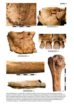 Bild der Seite - 380 - in Das linearbandkeramische Gräberfeld von Kleinhadersdorf