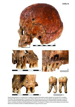 Bild der Seite - 381 - in Das linearbandkeramische Gräberfeld von Kleinhadersdorf